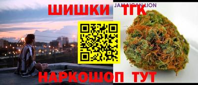 гашик Славгород