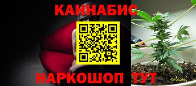 гашик Славгород