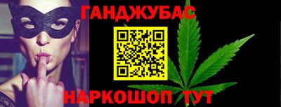 гашик Славгород