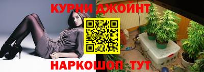 гашик Славгород