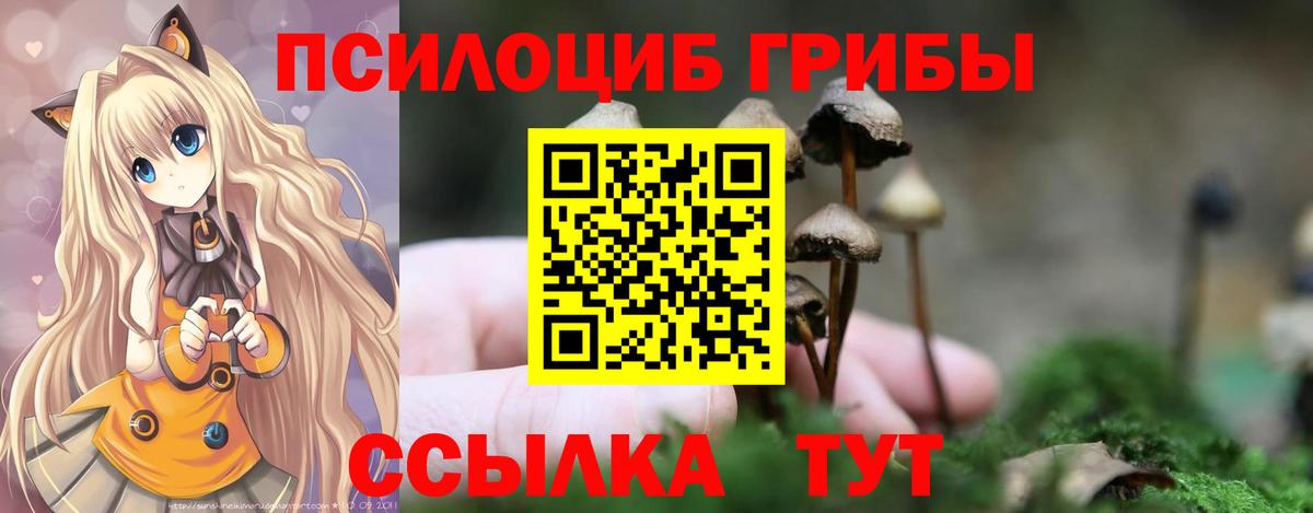 Углич  Псилоцибиновые грибы MAGIC MUSHROOMS  Вход с VPN 